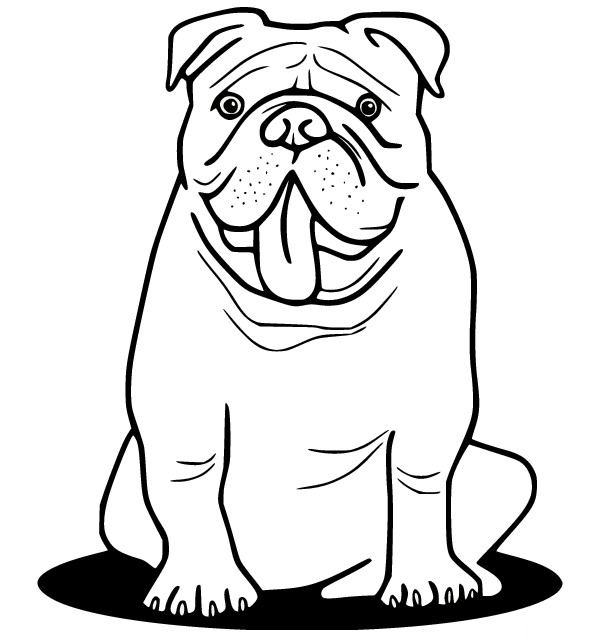 Bulldog Coloring Pages Printable for Free Download