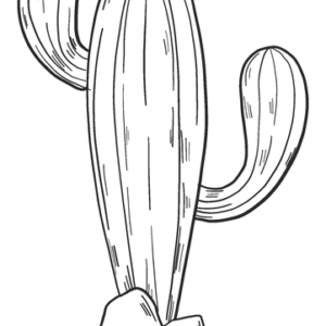 Printable Cactus Coloring Pages, Set of 3 Coloring Sheets for