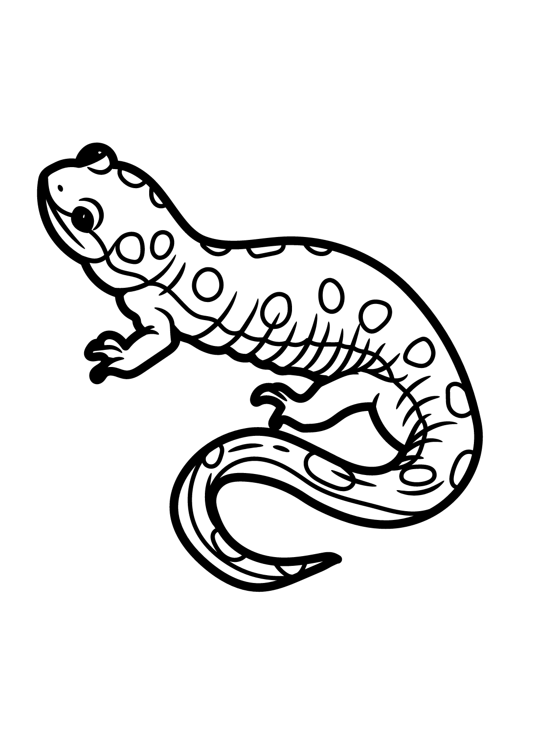 Salamander Coloring Pages Printable for Free Download