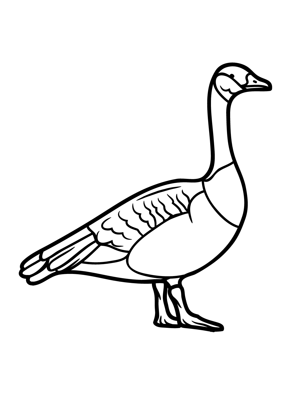 canadian goose coloring pages