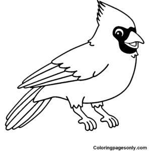 Northern cardinal coloring pages