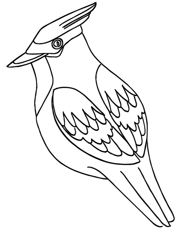 Cardinal Coloring Pages Printable for Free Download