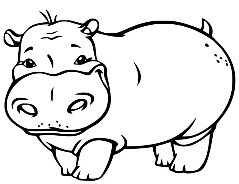 Hippo Coloring Pages Printable for Free Download