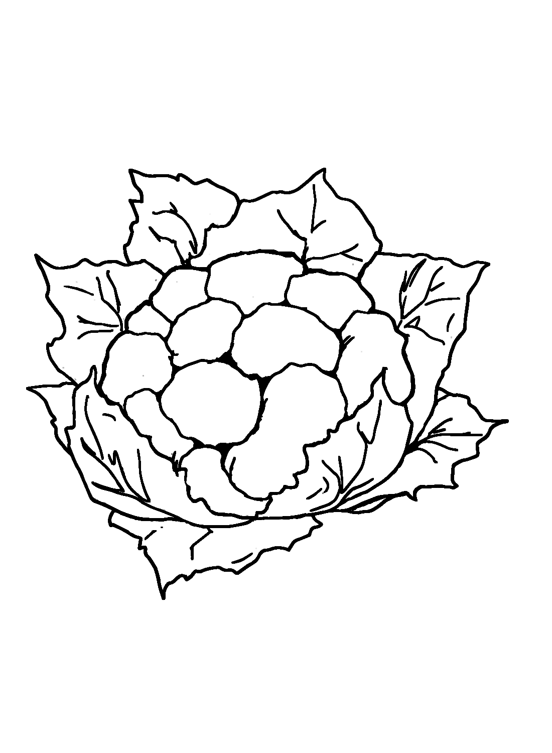 Vector - black and white cartoon cauliflower - stock illustration, royalty  free illustrations, stock clip art icon, s… | Black and white cartoon,  Drawings, Art icon