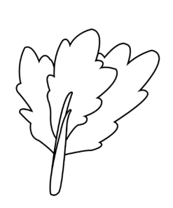 celery coloring page