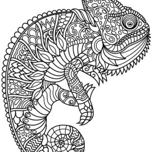 https://www.just-coloring-pages.com/wp-content/uploads/2023/06/chameleon-zentangle-300x300.jpg
