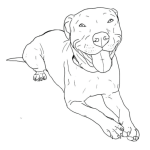 Pitbull Coloring Pages Printable for Free Download