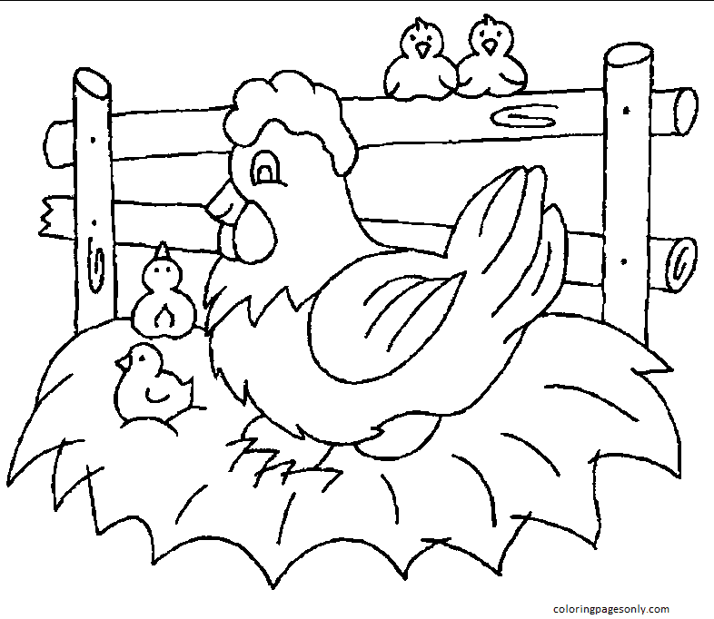 Chicken Coloring Pages Printable for Free Download