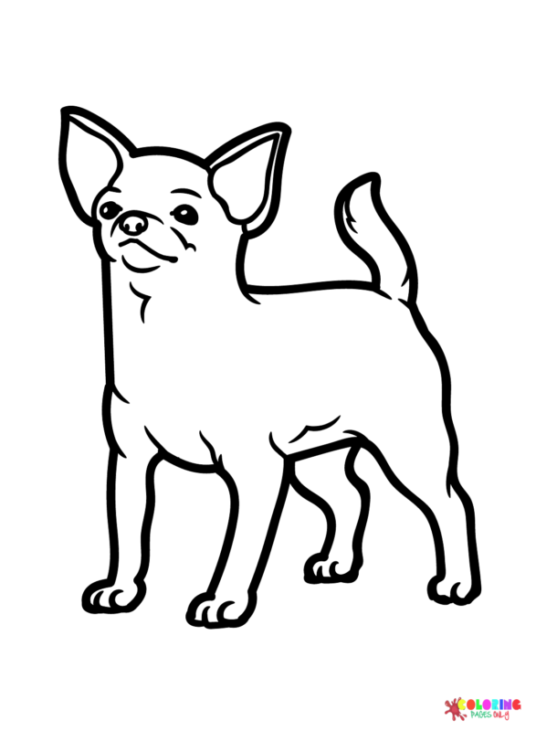 Chihuahua Coloring Pages Printable for Free Download