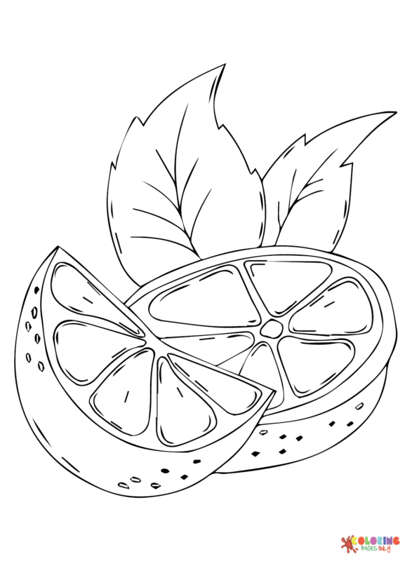 Citrus-Fruits Coloring Pages Printable for Free Download