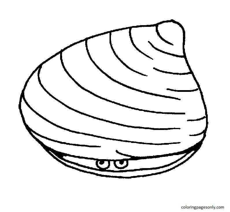 clam coloring pages