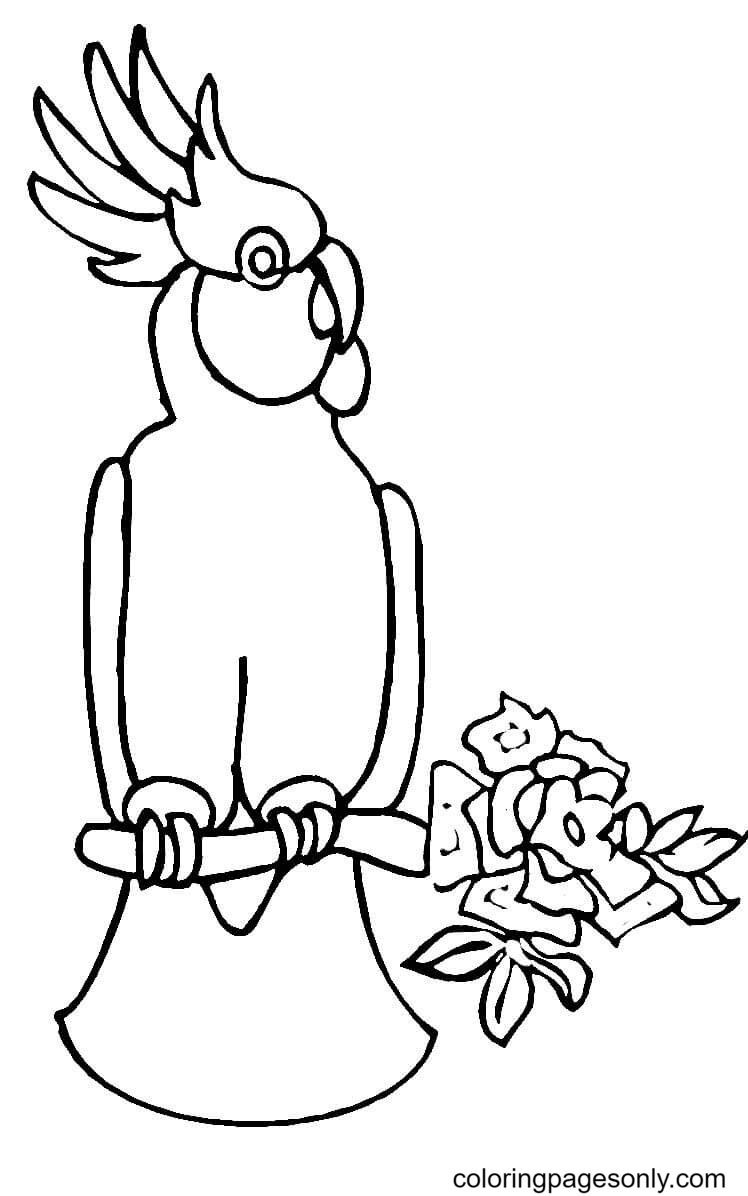 Parrot Coloring Pages Printable for Free Download
