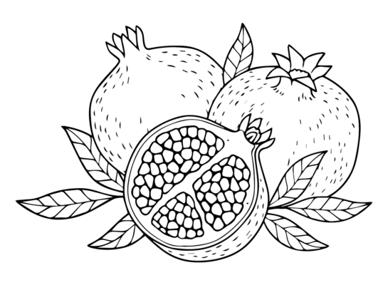 Pomegranate Coloring Pages Printable for Free Download