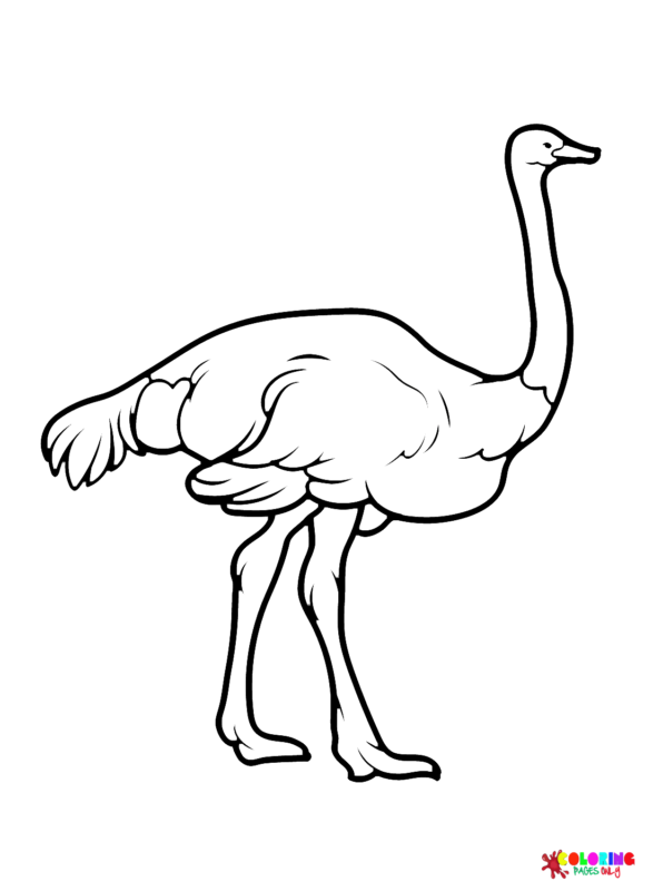 Emu Coloring Pages Printable for Free Download