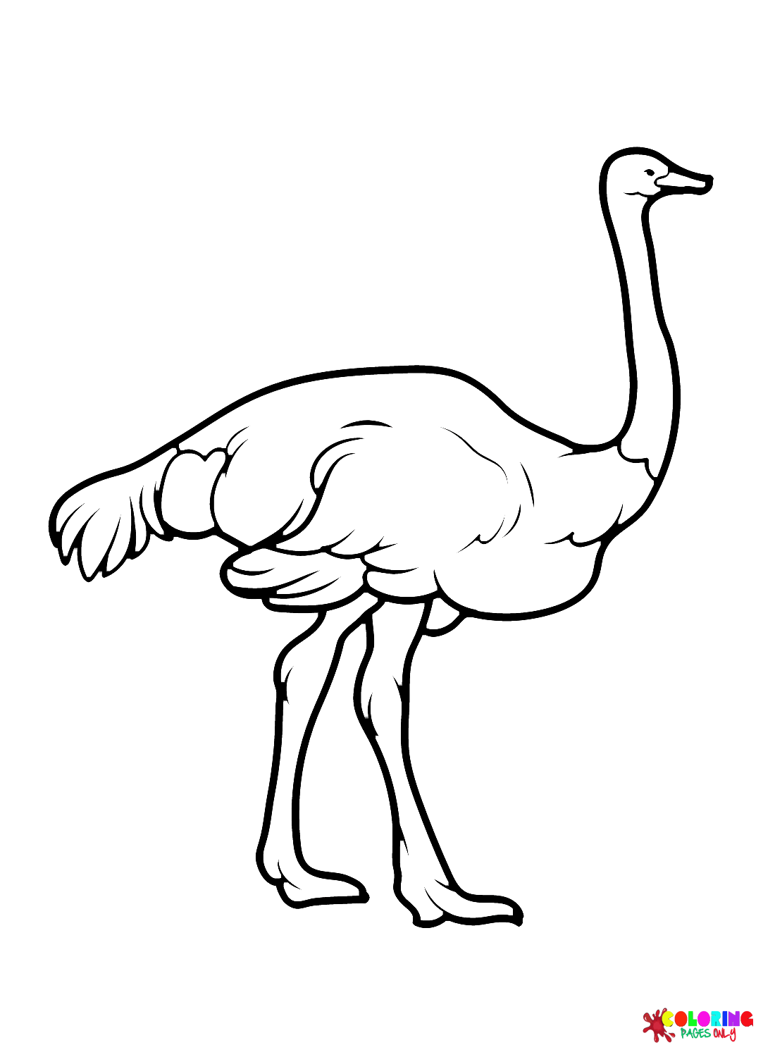 Emu Coloring Pages Printable for Free Download