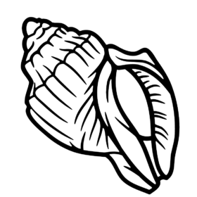 Conch Coloring Pages Printable for Free Download