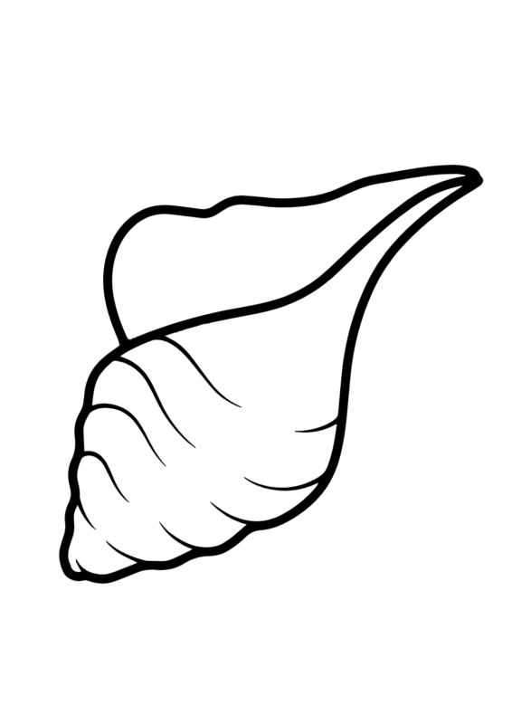 Conch Coloring Pages Printable for Free Download