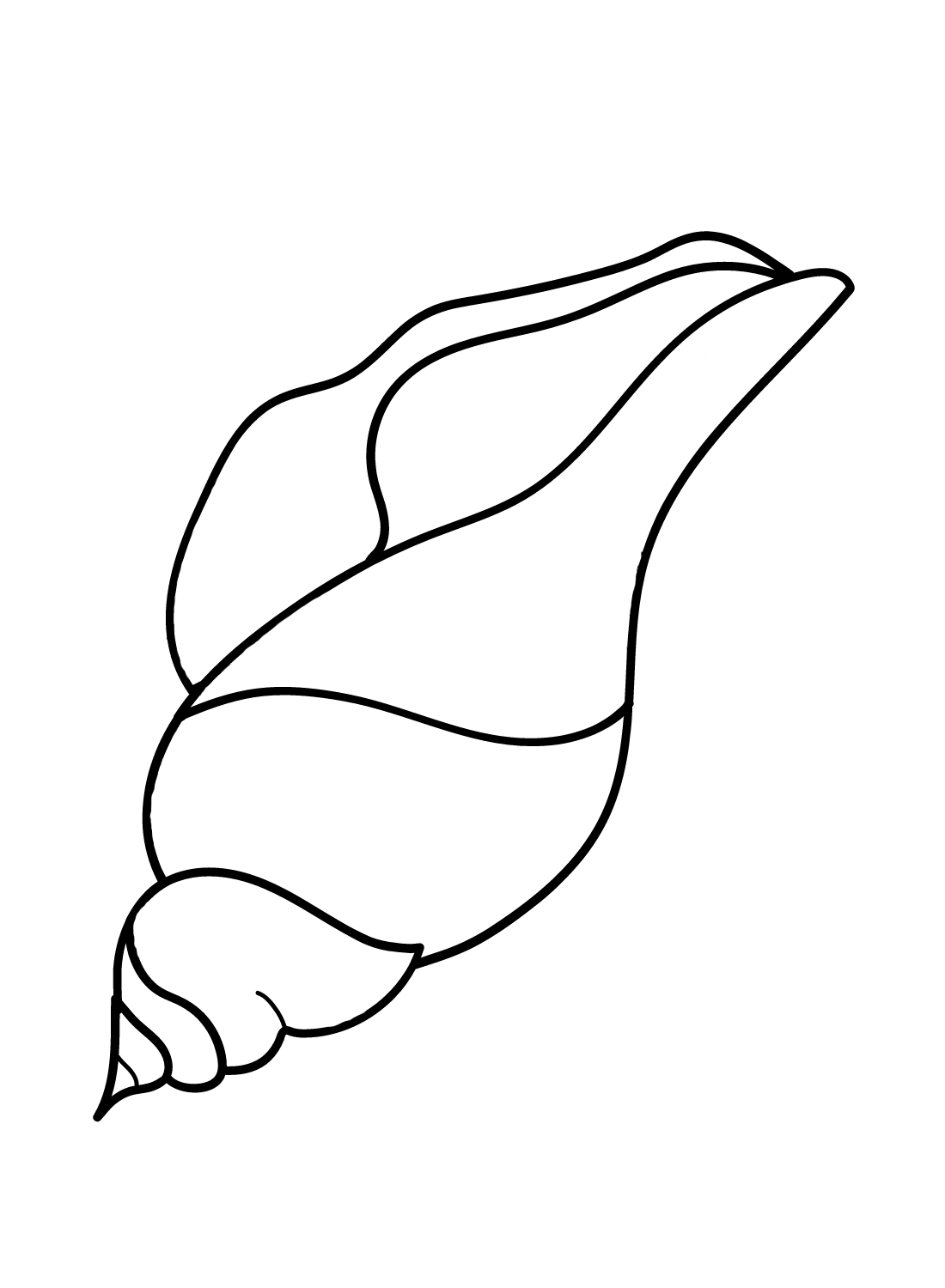 Conch Coloring Pages Printable for Free Download