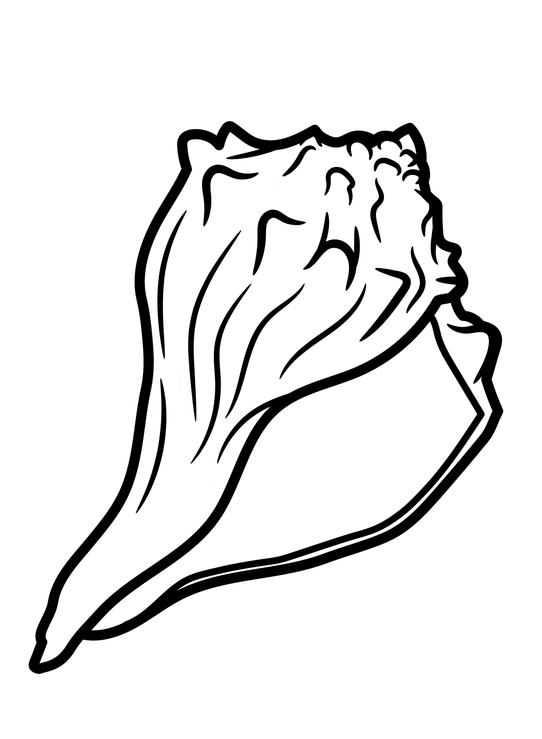 conch shell coloring pages