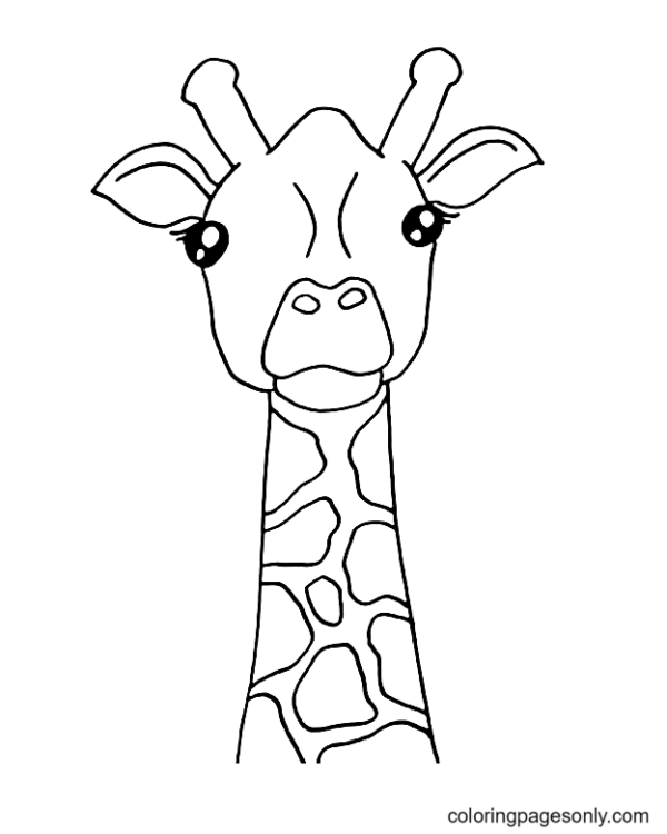 Giraffes Coloring Pages Printable for Free Download