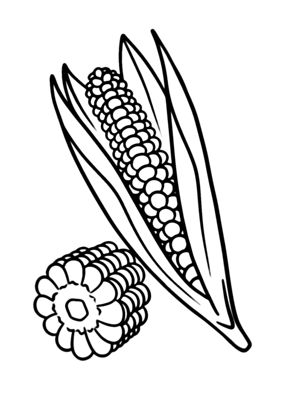 Corn Coloring Pages Printable for Free Download