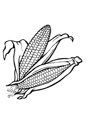 Corn Coloring Pages Printable for Free Download