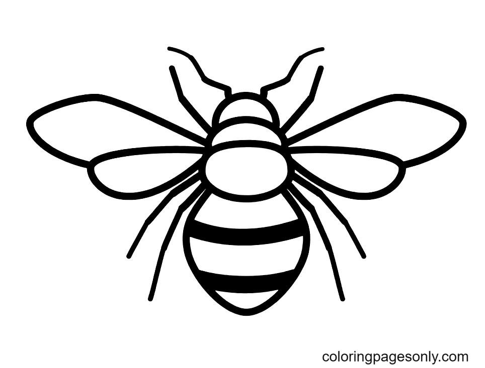 cute bee coloring pages