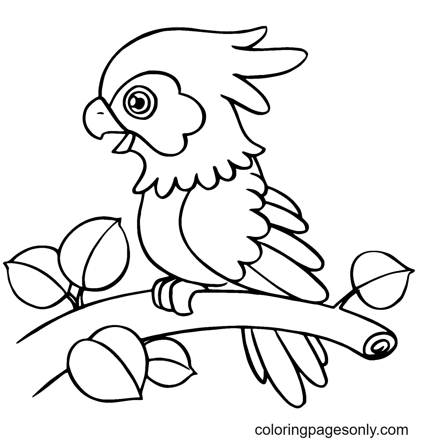 Parrot Coloring Pages Printable for Free Download