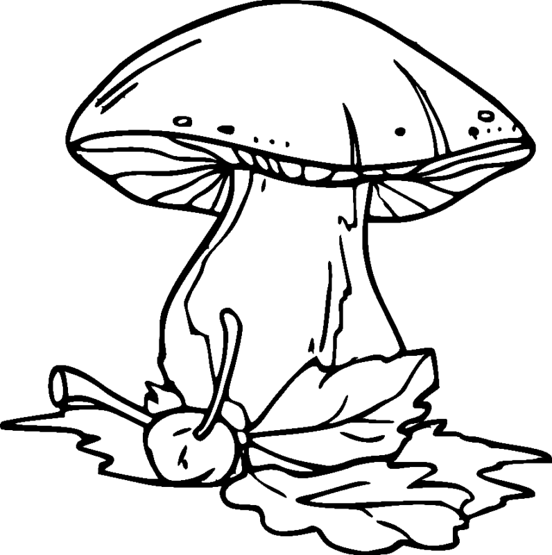 Mushroom Coloring Pages Printable for Free Download