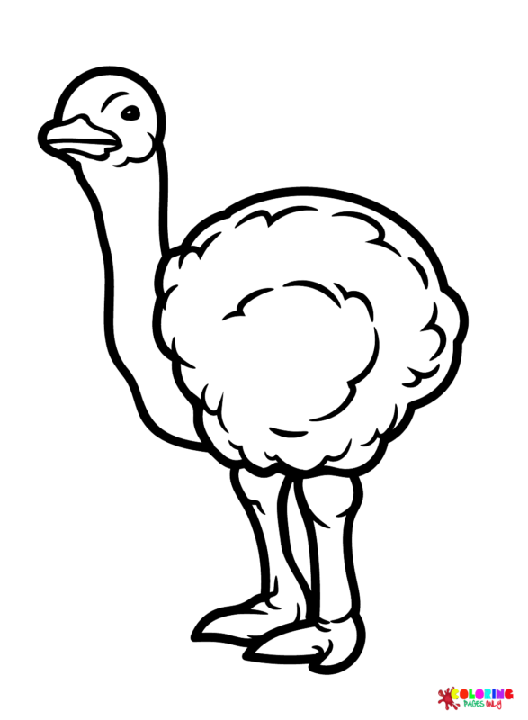 Ostrich Coloring Pages Printable for Free Download