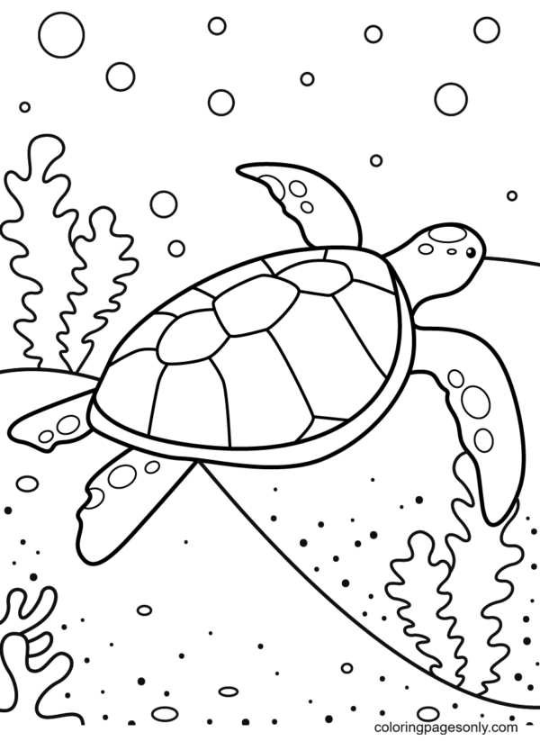 Turtle Coloring Pages Printable for Free Download