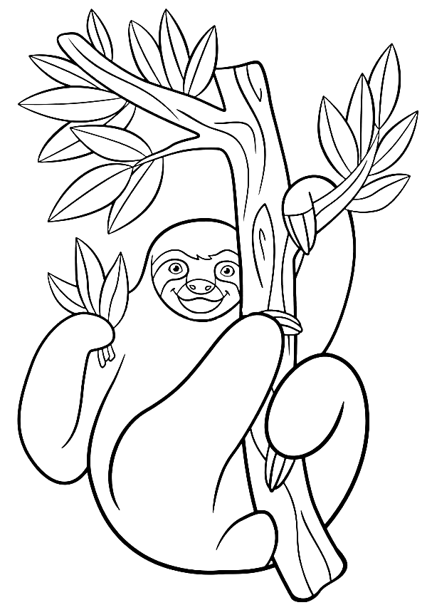 Sloth Coloring Pages Printable for Free Download