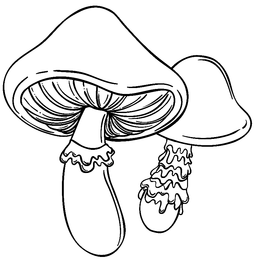 Mushroom Coloring Pages Printable for Free Download