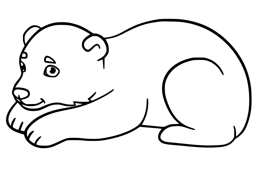 Polar Bear Coloring Pages Printable for Free Download