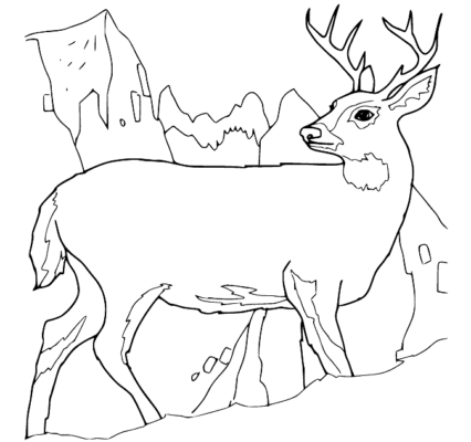 Deer Coloring Pages Printable for Free Download