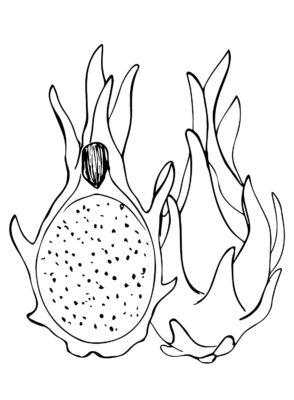 Dragon Fruit Coloring Pages Printable for Free Download