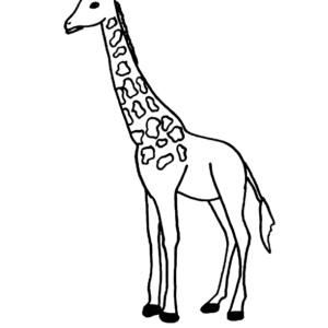 Giraffes Coloring Pages Printable For Free Download