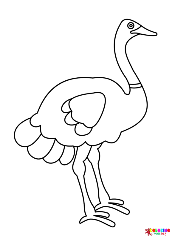 Ostrich Coloring Pages Printable for Free Download