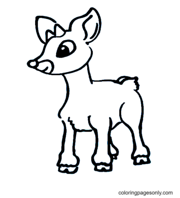 Rudolph Coloring Pages Printable for Free Download