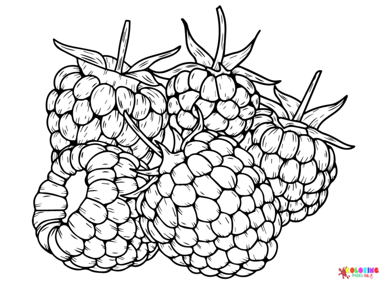 Blackberry Coloring Pages Printable for Free Download