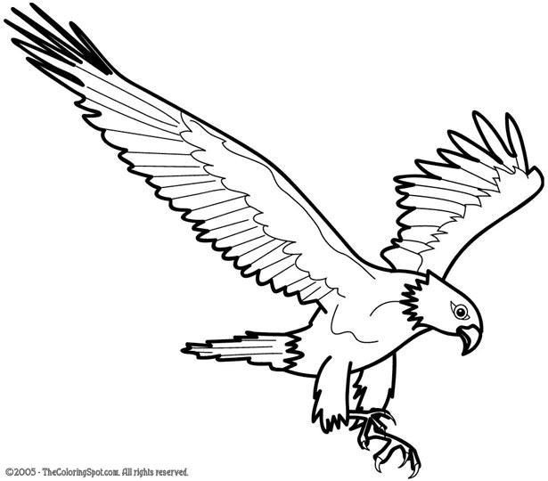 Eagle Coloring Pages Printable for Free Download