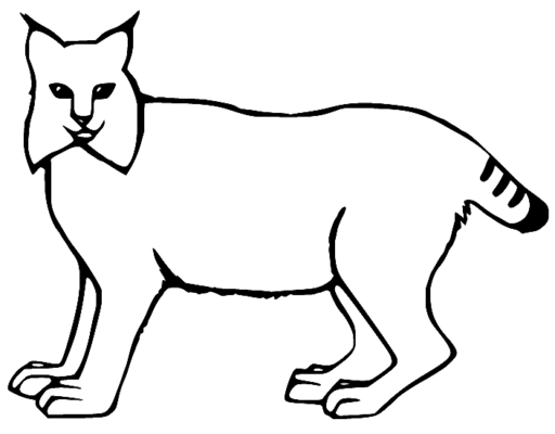 Lynx Coloring Pages Printable for Free Download