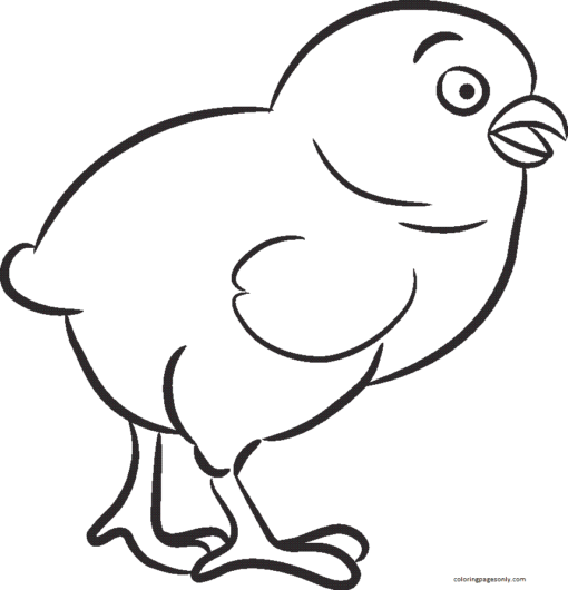 Chicken Coloring Pages Printable for Free Download