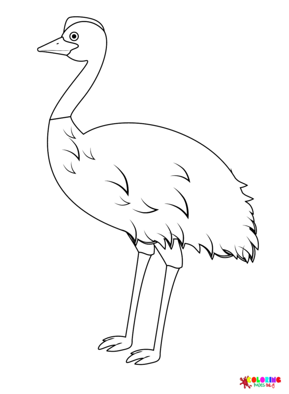 Emu Coloring Pages Printable for Free Download