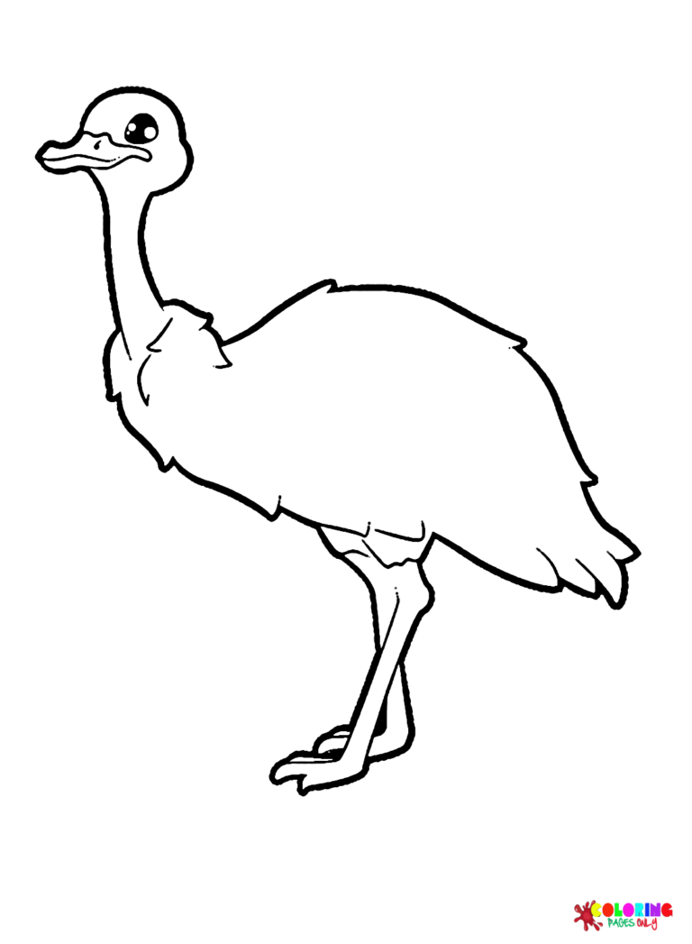 Emu Coloring Pages Printable for Free Download