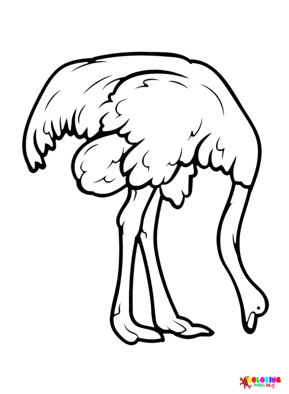 Emu Coloring Pages Printable for Free Download