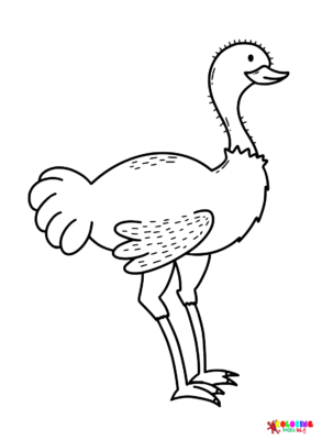 Emu Coloring Pages Printable for Free Download