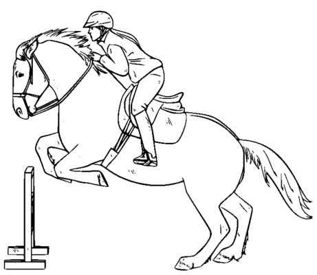 Equestrian Sports Coloring Pages Printable for Free Download