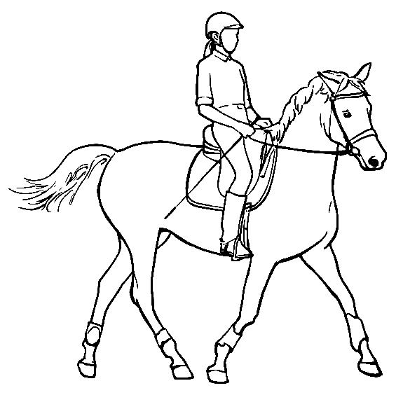 Equestrian Sports Coloring Pages Printable for Free Download