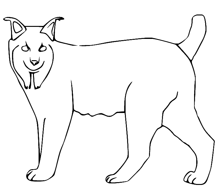 Lynx Coloring Pages Printable for Free Download